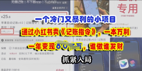 一个冷门需求，通过小红书卖《记账指令》，一本万利，谁做谁发，抓紧入局-观智斋电商课程站