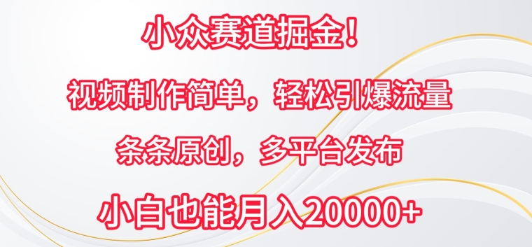 小众赛道掘金，视频制作简单，轻松引爆流量，条条原创，多平台发布【揭秘】-观智斋电商课程站
