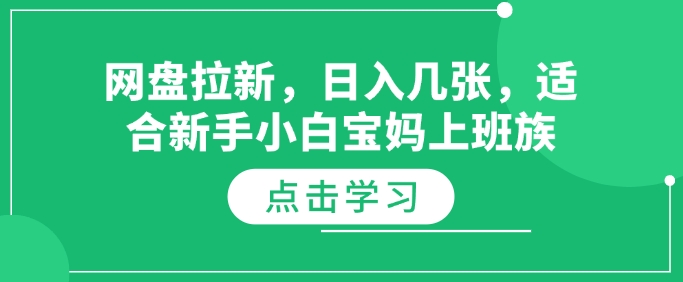 网盘拉新，日入几张，适合新手小白宝妈上班族-观智斋电商课程站