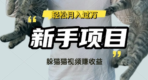 利用老外躲猫猫大赛视频，挣分成收益，操作简单，新手小白，轻松月入过W-观智斋电商课程站