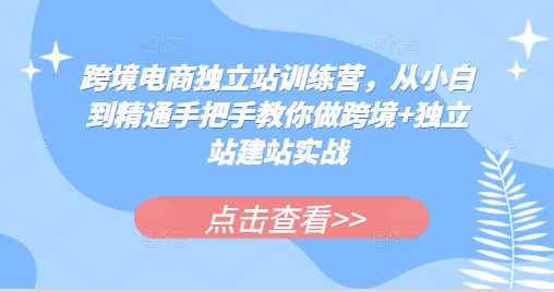跨境电商独立站训练营，从小白到精通手把手教你做跨境+独立站建站实战-观智斋电商课程站