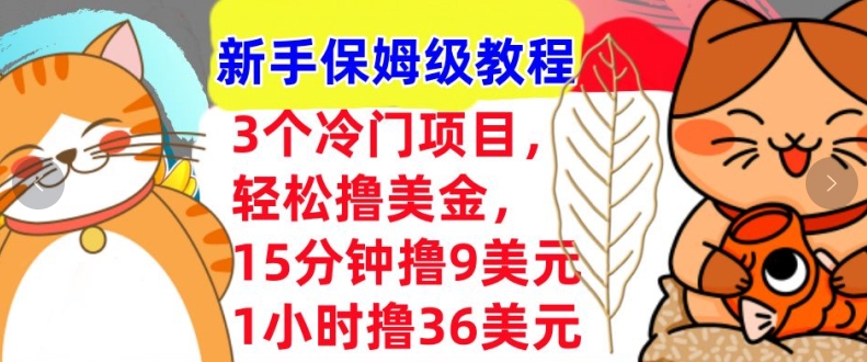 3个冷门项目，轻松撸美刀，1小时撸36刀，新手保姆级教程-观智斋电商课程站