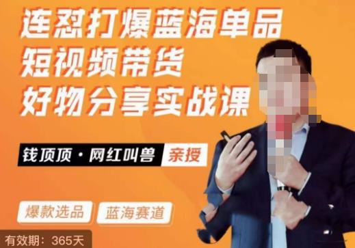 网红叫兽·连怼打爆蓝海单品，短视频带货好物分享实战课-观智斋电商课程站