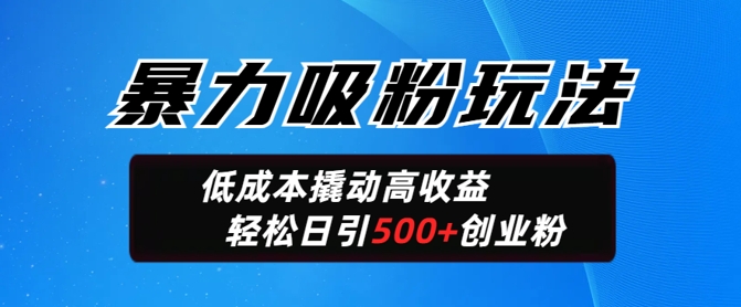 暴力吸粉玩法，日引500+精准创业粉，日变现轻松多张-观智斋电商课程站