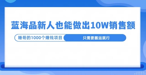 这个蓝海品，新号也能卖出10W的销售额，年底疯狂怼量就能出结果-观智斋电商课程站