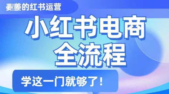 小红书电商全流程，精简易懂，从入门到精通，学这一门就够了-观智斋电商课程站