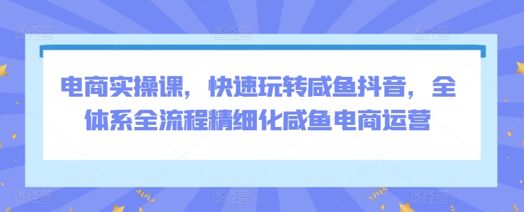电商实操课，快速玩转闲鱼抖音，全体系全流程精细化闲鱼电商运营-观智斋电商课程站