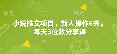 小说推文项目，新人操作6天，每天3位数分享课-观智斋电商课程站