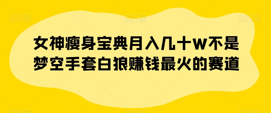 女神瘦身宝典月入几十W不是梦空手套白狼赚钱最火的赛道【揭秘】-观智斋电商课程站