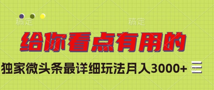 独家微头条最详细玩法，月入3000+【揭秘】-观智斋电商课程站