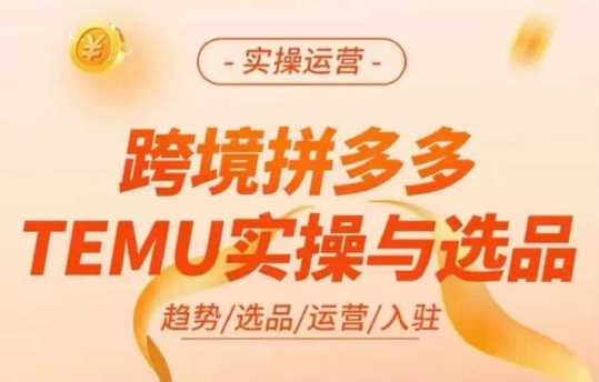 跨境拼多多TEMU实操与选品，多多temu跨境选品运营实操-观智斋电商课程站