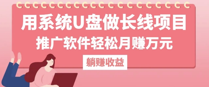 用系统U盘做长线项目，推广软件轻松月入过W-观智斋电商课程站