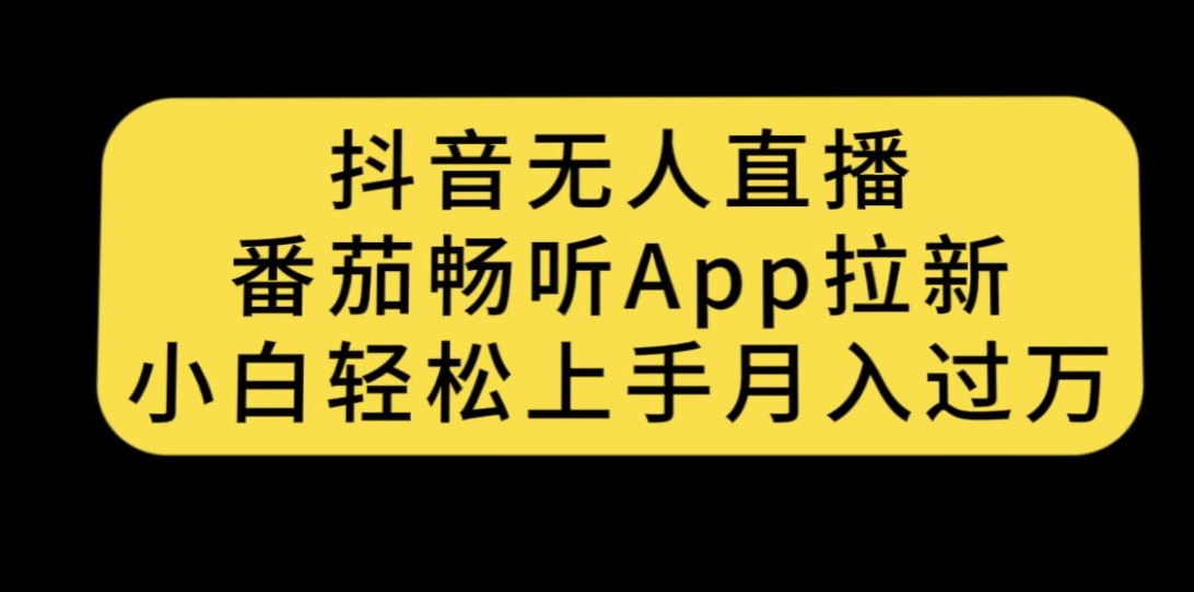 抖音无人直播，番茄畅听APP拉新，小白轻松上手月入过万-观智斋电商课程站