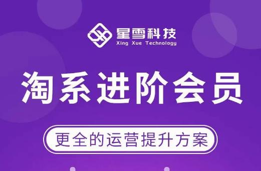 星雪·淘系进阶课程，快速提升突破技能流量瓶颈必备（更新2023年5月）-观智斋电商课程站
