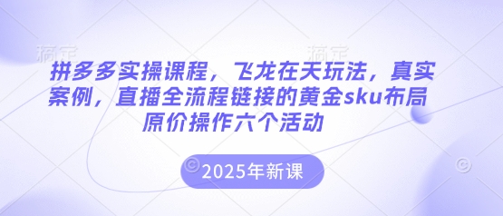 拼多多实操课程，飞龙在天玩法，真实案例，直播全流程链接的黄金sku布局原价操作六个活动-观智斋电商课程站