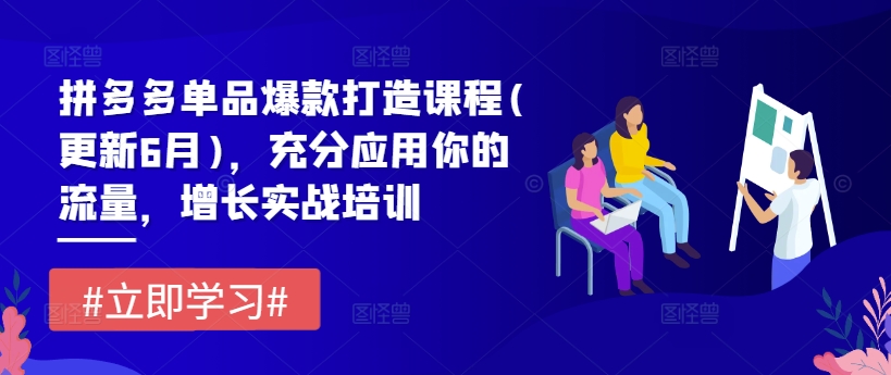 拼多多单品爆款打造课程(更新6月)，充分应用你的流量，增长实战培训-观智斋电商课程站