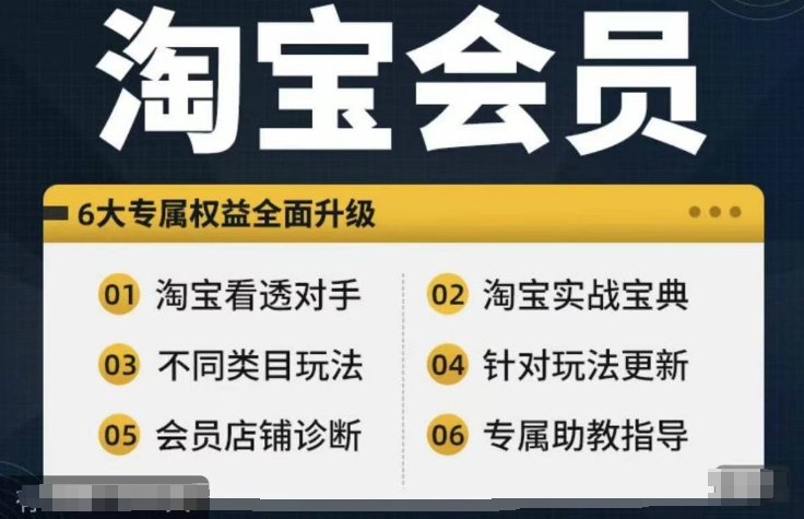 淘宝会员【淘宝所有课程，全面分析对手】，初级到高手全系实战宝典-观智斋电商课程站