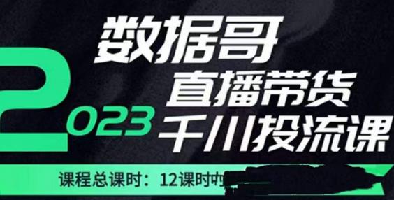 数据哥2023直播电商巨量千川付费投流实操课，快速掌握直播带货运营投放策略-观智斋电商课程站