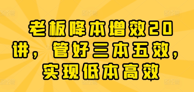 老板降本增效20讲，管好三本五效，实现低本高效-观智斋电商课程站