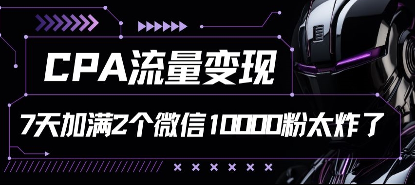 CPA流量变现7天加满两个微信10000粉-观智斋电商课程站