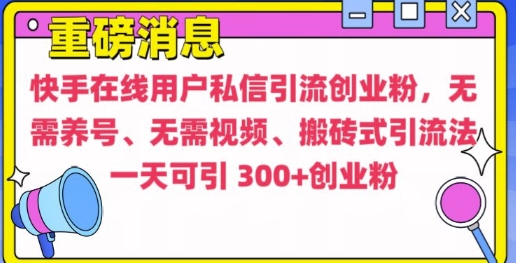 快手最新引流创业粉方法，无需养号、无需视频、搬砖式引流法【揭秘】-观智斋电商课程站