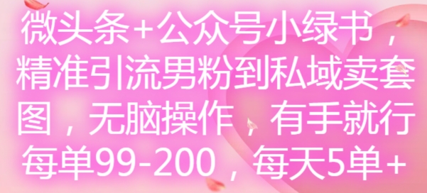 微头条+公众号小绿书，精准引流男粉到私域卖套图，无脑操作，有手就行，每单99-200，每天5单-观智斋电商课程站