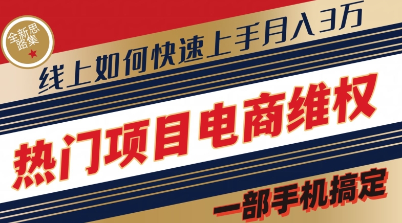 热门项目电商维权全新思路集，一部手机搞定【仅揭秘】-观智斋电商课程站