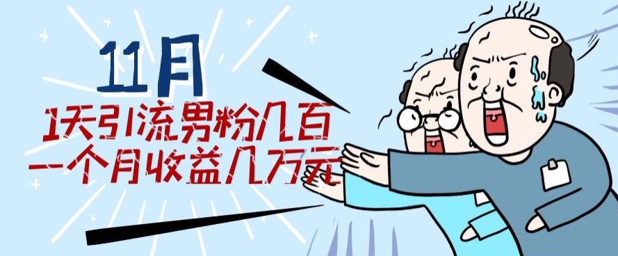 11月最新每天引流男粉300+一个月收益几万元-观智斋电商课程站