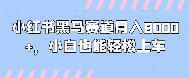 小红书黑马赛道月入8000+，小白也能轻松上车-观智斋电商课程站