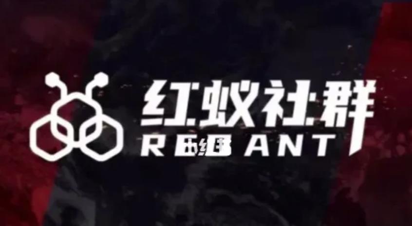 社群运营：红蚁社群【48节落地系统课程+2000人高端社群】-观智斋电商课程站