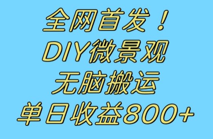 全网首发冷门赛道！DIY微景观，无脑搬运视频，日收益800+【揭秘】-观智斋电商课程站