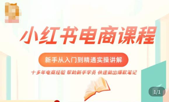 小红书电商新手入门到精通实操课，从入门到精通做爆款笔记，开店运营-观智斋电商课程站