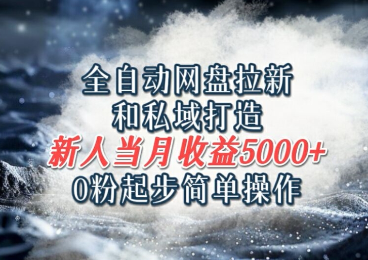全自动网盘拉新和私域打造，0粉起步简单操作，新人入门当月收益5000以上-观智斋电商课程站