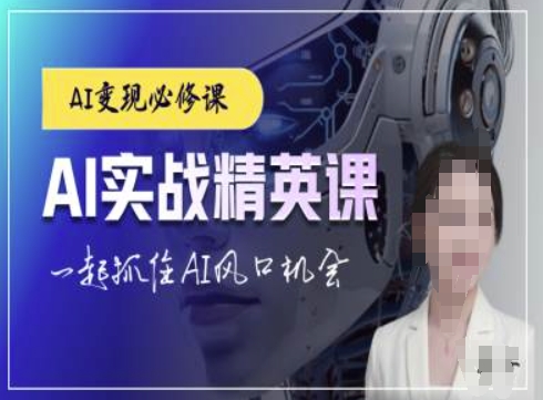 AI实战精英课，chatgptAI实战教程，一起抓住AI风口的机会-观智斋电商课程站