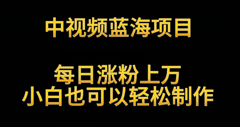 中视频蓝海项目，解读英雄人物生平，每日涨粉上万，小白也可以轻松制作，月入过万不是梦【揭秘】-观智斋电商课程站