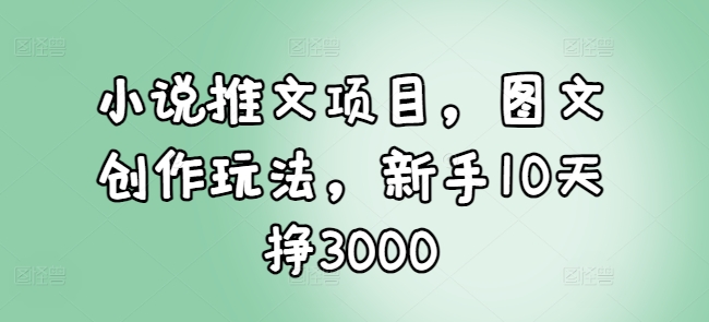 小说推文项目，图文创作玩法，新手10天挣3000-观智斋电商课程站