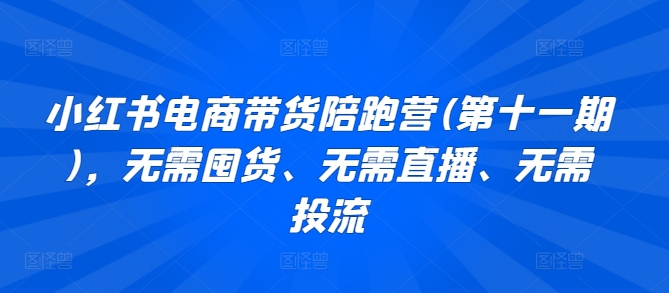 小红书电商带货陪跑营(第十一期)，无需囤货、无需直播、无需投流-观智斋电商课程站