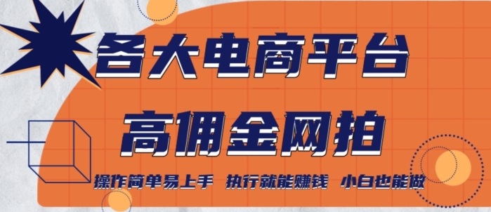 各大电商平台高佣金网拍，操作简单易上手，执行就能赚钱，小白也能做-观智斋电商课程站