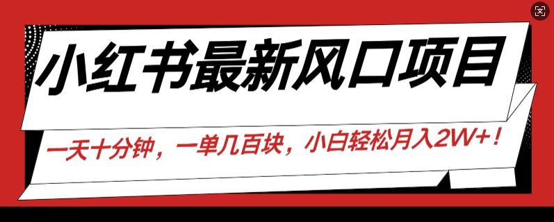 小红书最新风口项目，一天只用10分钟，一单几百块，小白简单无脑操作!-观智斋电商课程站
