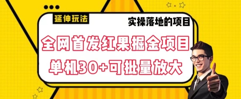 全网首发红果免费短剧掘金项目，单机30+可批量放大【揭秘】-观智斋电商课程站
