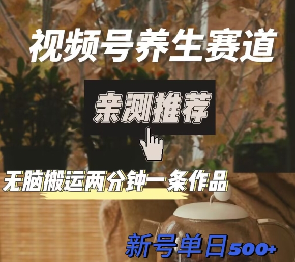 视频号养生赛道暴力掘金，无脑搬运，两分钟一条作品-新日单入500+-观智斋电商课程站