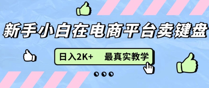 最新无货源0成本电商，新手小白可做，后端扶持拉满，细致教学-观智斋电商课程站