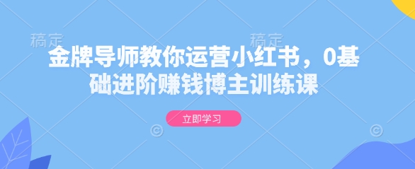 金牌导师教你运营小红书，0基础进阶赚钱博主训练课-观智斋电商课程站