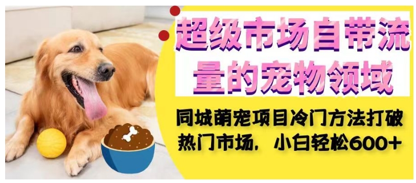 超级市场自带流量的宠物领域，同城萌宠项目冷门方法打破热门市场，小白轻松600+-观智斋电商课程站