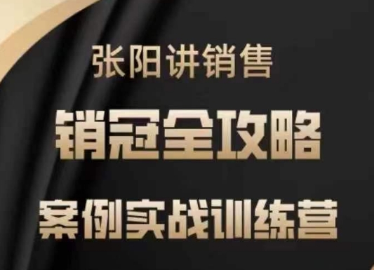 张阳讲销售实战训练营，​案例实战训练，销冠全攻略-观智斋电商课程站