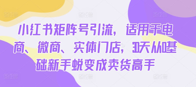 小红书矩阵号引流，适用于电商、微商、实体门店，30天从0基础新手蜕变成卖货高手-观智斋电商课程站