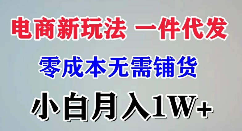 电商新玩法 一件代发,零成本无需铺货，小白月入1W+-观智斋电商课程站