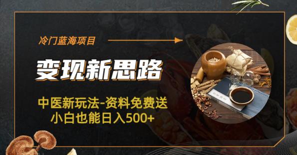 冷门蓝海项目-中医新玩法-资料免费送小白也能日入500+【揭秘】-观智斋电商课程站