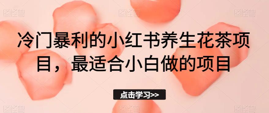 冷门暴利的小红书养生花茶项目，最适合小白做的项目【揭秘】-观智斋电商课程站