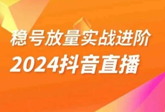 稳号放量实战进阶—2024抖音直播，直播间精细化运营的几大步骤-观智斋电商课程站